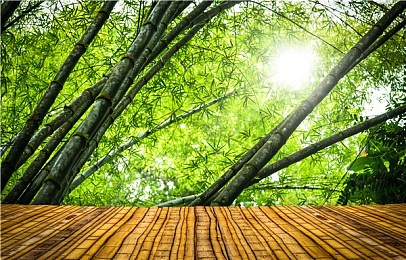 黄色应用在线下载：网络净化，守护清朗空间——抵制不良应用大行动