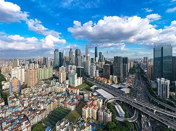 含羞草直接进入麻豆：含羞草新篇章，麻豆市场探秘之旅