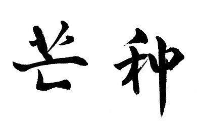 被二指探洞感觉要喷了：洞穴探险惊魂记：指尖探秘，宝藏寻踪，勇闯未知奇境