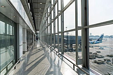 五月丁香天：穿越古都，花海探秘——西安丁香之旅