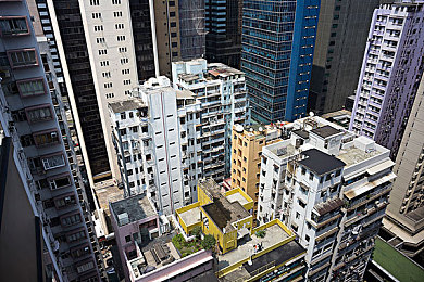 皇品汇绿巨人：绿色环保新潮流，皇品汇产品引领市场风尚-4