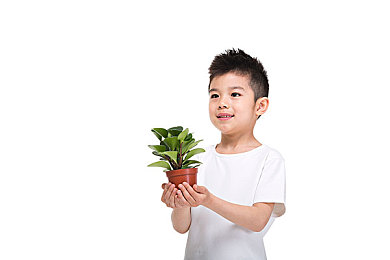男刑警队长裸体被调教小说：网络文学道德漩涡：揭秘《裸体刑警》争议风暴-3