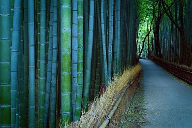 20022强奸一级二级：揭开20022年强奸犯罪新动向：深度剖析一级二级案件背后的社会痛点-3