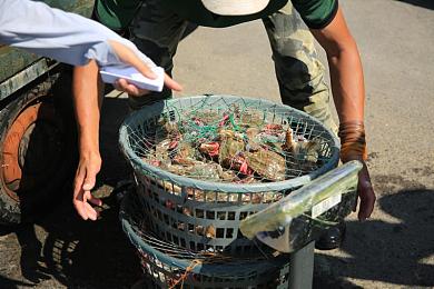 男女车车的车车网站W98免费：免费游戏新潮流：赛车主题“男女车车”网站W98崛起，引领行业变革-3