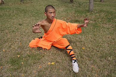 黑人大迪克超长异族：探寻奇幻大陆神秘种族：揭秘黑人大迪克的传奇与力量-4