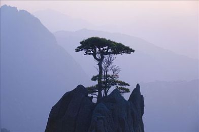 黄软件app大全免费下载2023安装手机版：手机应用宝库，畅享海量游戏乐趣