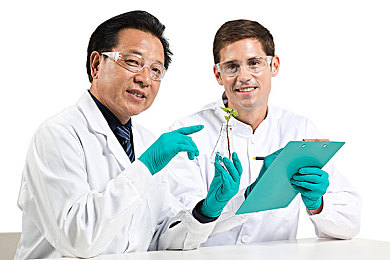 打扑克爽 又黄 免费网站：扑克狂潮，净化娱乐，畅游健康空间