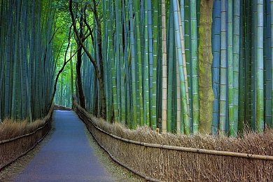 91吃瓜黑料爆料入口：娱乐圈模拟经营，明星养成攻略，揭秘《王者吃瓜》魅力之旅-2