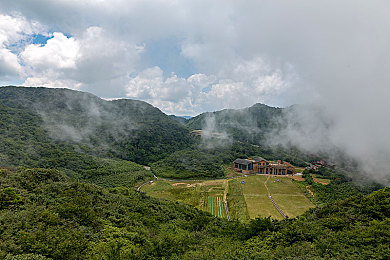 悠亚的作品：数字艺术之旅，悠亚梦幻像素探险