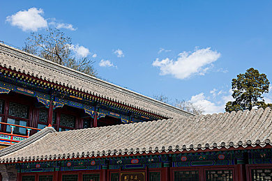 十大禁止直播软件：直播禁令揭秘：揭秘违规直播软件背后的真相与影响