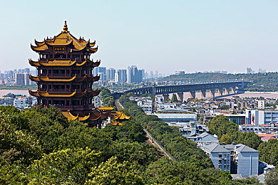 豆奶直播app：畅游青春直播，尽享时尚欢乐时光
