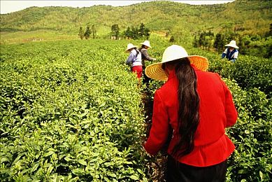 打扑克又疼又痛软件：痛并快乐着：揭秘扑克游戏新境界，体验疼痛与欢乐交织的挑战之旅
