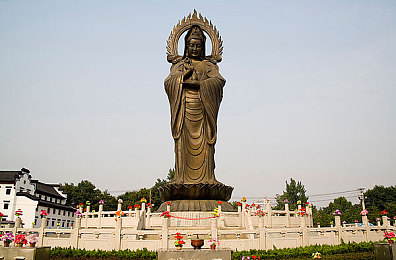 人人干天天干：志愿服务新时代，全民公益乐无穷