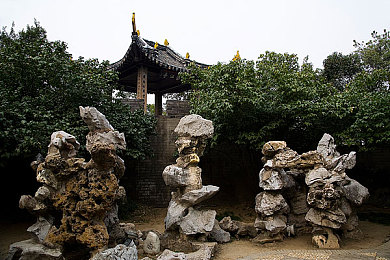 美女直播全婐网站免费高清：高清直播盛宴，揭秘全婐网站魅力之旅-1