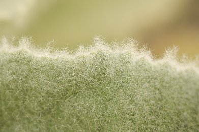 黑料正能量不肾虚：揭秘游戏流量密码：正能量与黑料巧妙结合，玩家互动新体验