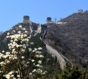 色呦呦呦网站：直播风暴：挑战与监管，共建清朗网络空间-2