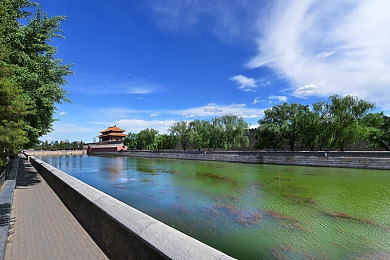 口交动态图：数字时代下的视觉冲击：揭秘“口交动态图”的魅力与争议-1