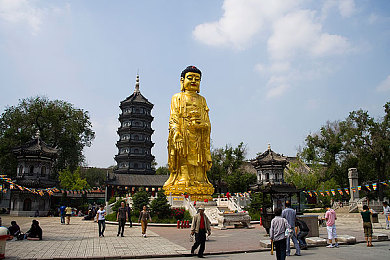 草莓视频骚：直播迷雾：揭秘诱惑陷阱，守护网络文明空间-3