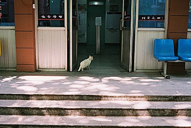 动漫做爱：动漫次元恋旅，个性定制狂欢