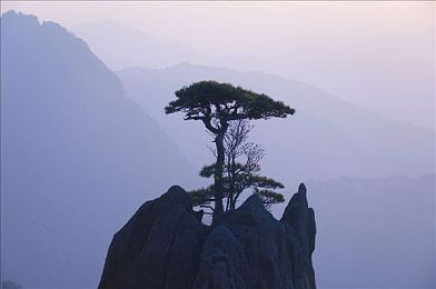 国产无人区码卡二卡三：码卡新潮流，无人区游戏体验再升级：深度解析创新码卡二卡三功能与优势-2