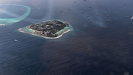 玉米地艳妇...夹得好紧紧：极限玉米地，艳妇竞速展英姿-1