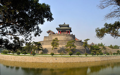 鲍鱼最新网址：揭秘网络鲍鱼资源新风向：便捷透明，绿色可持续购物体验