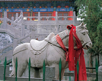 黄片下载安装：《幻影猎手》奇幻之旅：解锁神秘猎人技能，畅游奇幻战场攻略大全-2