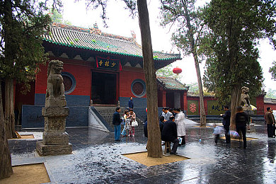大菠萝福建官网入口：福建游戏盛宴开启，体验极致《大菠萝》全新征程