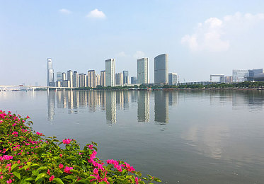 宝藏库免费观看：知识宝藏，免费探索之旅