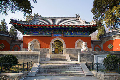 一亲二摸：“亲情触摸艺术盛宴，新潮互动体验点燃都市潮流热情”-2