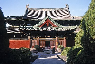 免费钙网有哪些：钙守护者乐园，健康攻略一网打尽-3
