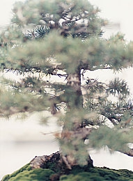 oppo成人软件下载：揭秘：Oppo手机成人软件多样选择，生活品质提升背后的故事-2