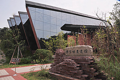谷歌tom叔叔影院：观影新纪元，谷歌打造个性化视听盛宴-2