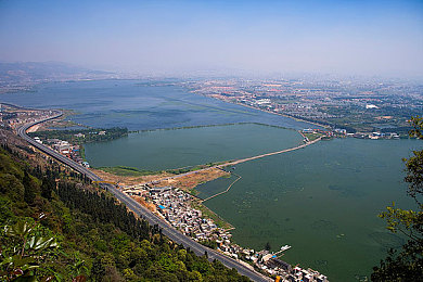 大象视频dx2022回家的路：视听归途，温暖如初，家的记忆之旅-4