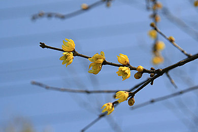 www.99热热：探索未知游戏乐园，99热热带你畅游激情新境界-1