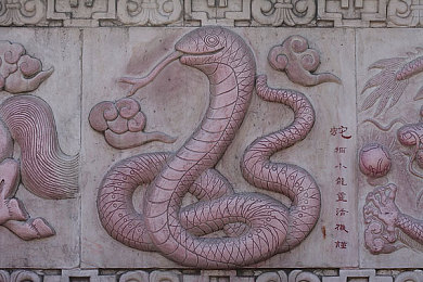 国产久草视频：网络热映短片展中国影视新风貌，国产创新作品引关注期待-2