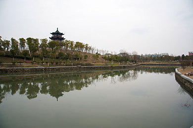 每日大赛在线观看：电竞狂潮盛宴，全球精英巅峰对决直播秀-1