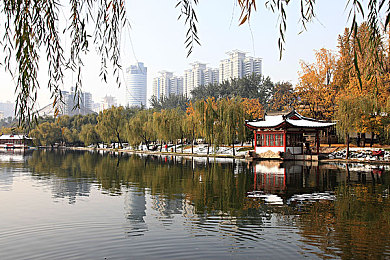 就色干综合：五光十色乐无边，畅游“就色干”新境界