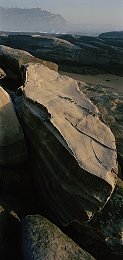秘密秘 导航地址入口：探秘网络宝藏，一站式导航神器带你畅游信息海洋-3