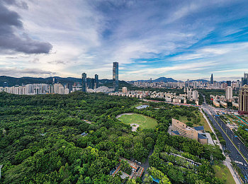 打扑克又痛又叫免费下载：趣味扑克挑战，免费下载热潮席卷手游市场-2