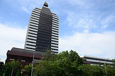 A18禁黄色：“网络清风拂面来，A18禁黄铸安全，共筑青春健康盾”-2
