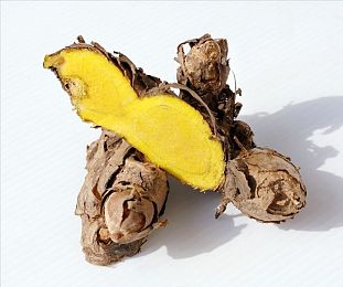 求黄色网址网站软件2023：网络净土守护者：净网行动，守护绿色网络空间-2