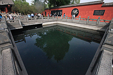 黄色安全下载：网络安全探险：揭秘色情资源下载安全攻略
