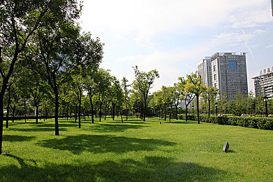 我把英语老师操了一节课：探索英语教学新境界：揭秘课堂“操”的艺术，激发学习兴趣，打造高效互动课堂