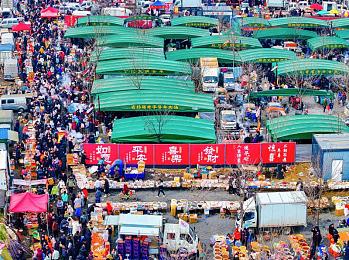 给大家科普一下铜水太多：铜矿泛滥，绿色保卫战-3