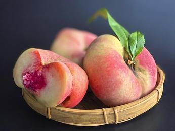 免费打扑克视频软件：指尖扑克盛宴来袭：揭秘免费打牌软件的魅力与注意事项