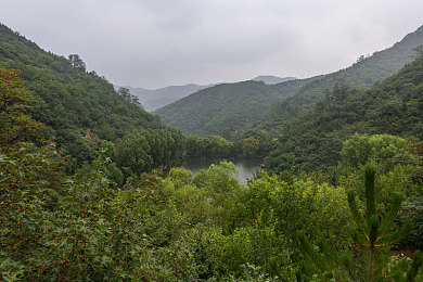 迪丽热巴遭AI换脸侵权引热议：AI换脸技术边界模糊，迪丽热巴肖像权受侵事件引爆热议-2
