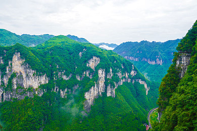 黄色软件2：0：竞技巅峰，实力对决：国产游戏荣耀卫冕，引领电竞新风潮