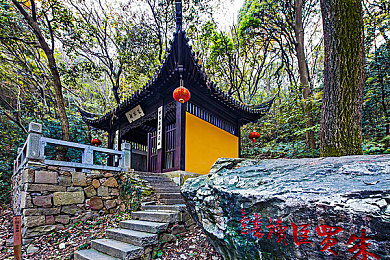 火影成人游戏：沉浸激情热血，探索火影世界新篇章：体验《火影忍者》成人游戏独特冒险