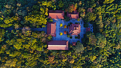 Lutube永久地址：Lutube发布永久网址，告别访问困扰，畅享海量视频盛宴-3